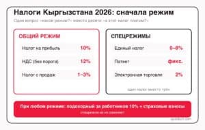 Налоги Кыргызстана простыми словами: ПН, НсП, НДС и единый налог — шпаргалка бухгалтера на 2026 год