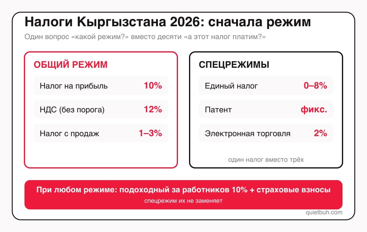 Налоги Кыргызстана простыми словами: ПН, НсП, НДС и единый налог — шпаргалка бухгалтера на 2026 год