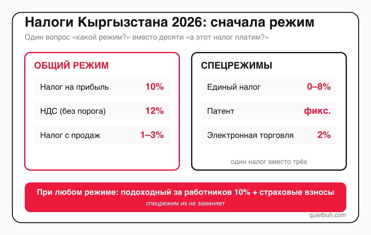 Схема налогов Кыргызстана 2026: общий режим — налог на прибыль 10%, НДС 12%, налог с продаж 1–3%; спецрежимы — единый налог, патент, электронная торговля 2%; при любом режиме — подоходный налог 10% и страховые взносы